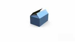 Cutie din carton ondulat tip BAX cu Separatoare ApC0207