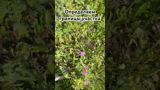 Определяем границы земельного участка на местности