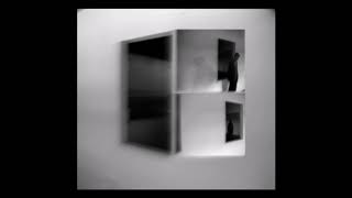 01. Barkingbart° & Seng° - cerfidel°