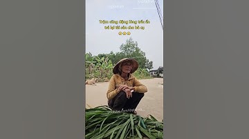 Trộm cũng động lòng trắc ẩn trả lại xe cho bà cụ 😢 #hoancanhkhokhan #tromcap #tromcuop #thanhhoa