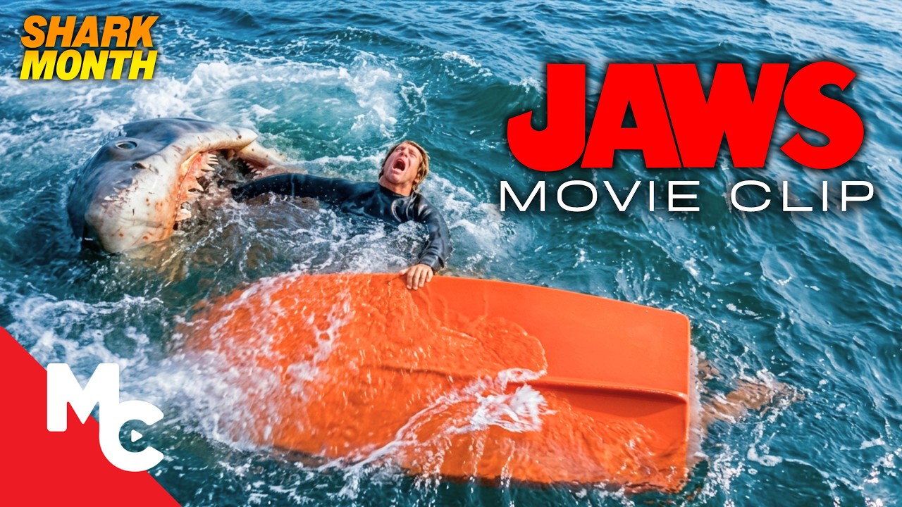 A Giant Shark Dragged A Boater Underwater | Jaws | Full Jaws Movie Clip