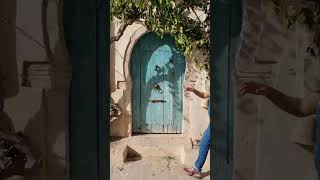 Tunisia Mini Travel Vlog
