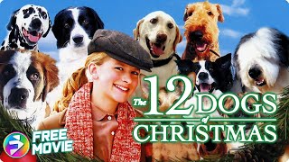 THE 12 DOGS OF CHRISTMAS | Full Family Dog Movie | JordanClaire Green, Tom Kemp