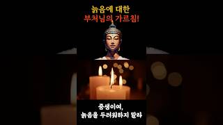 나이 드는 게 두려울 때 | 부처님의 1분 위로 ☸️ #노년명상