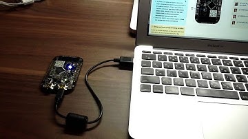 mbed FRDM-KL25Zボードの最初のプログラム実行