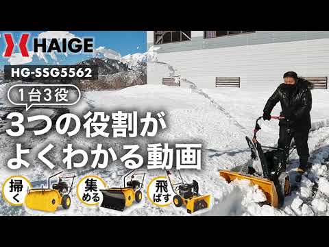 月雪ページ カードガチャ 新春!色紙コレクション2025 ｜ Z/X - Zillions of