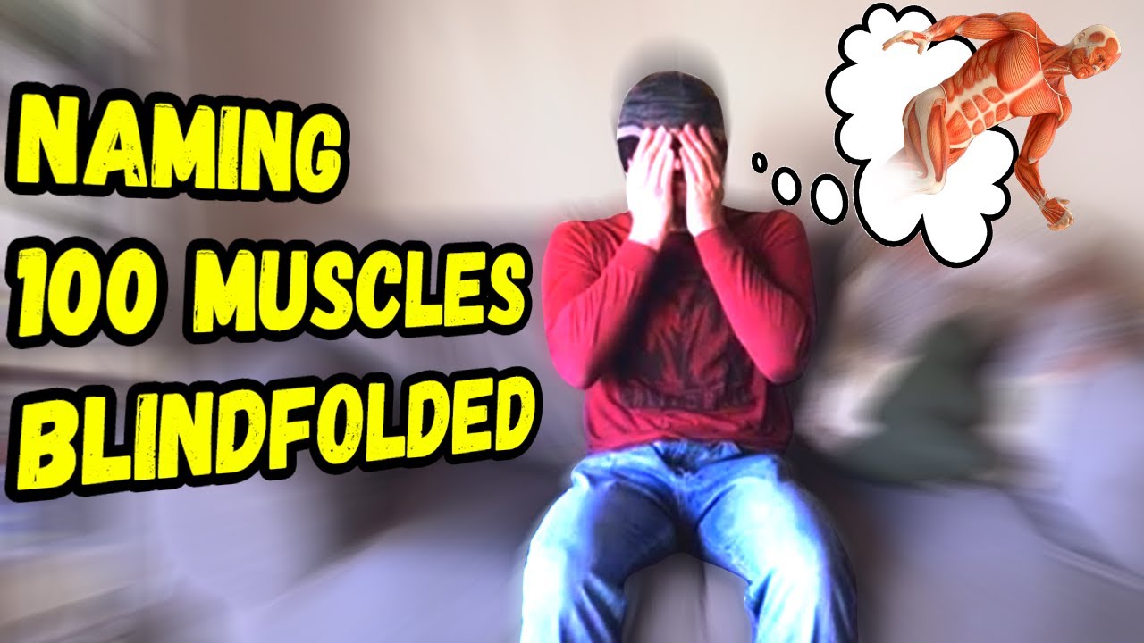 Teaching 100 Muscles While Blindfolded!