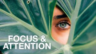 Focus & Attention 🟢 Improved Thinking & Learning, Problem Solving / 18Hz BETA Brainwaves / 12 Hours