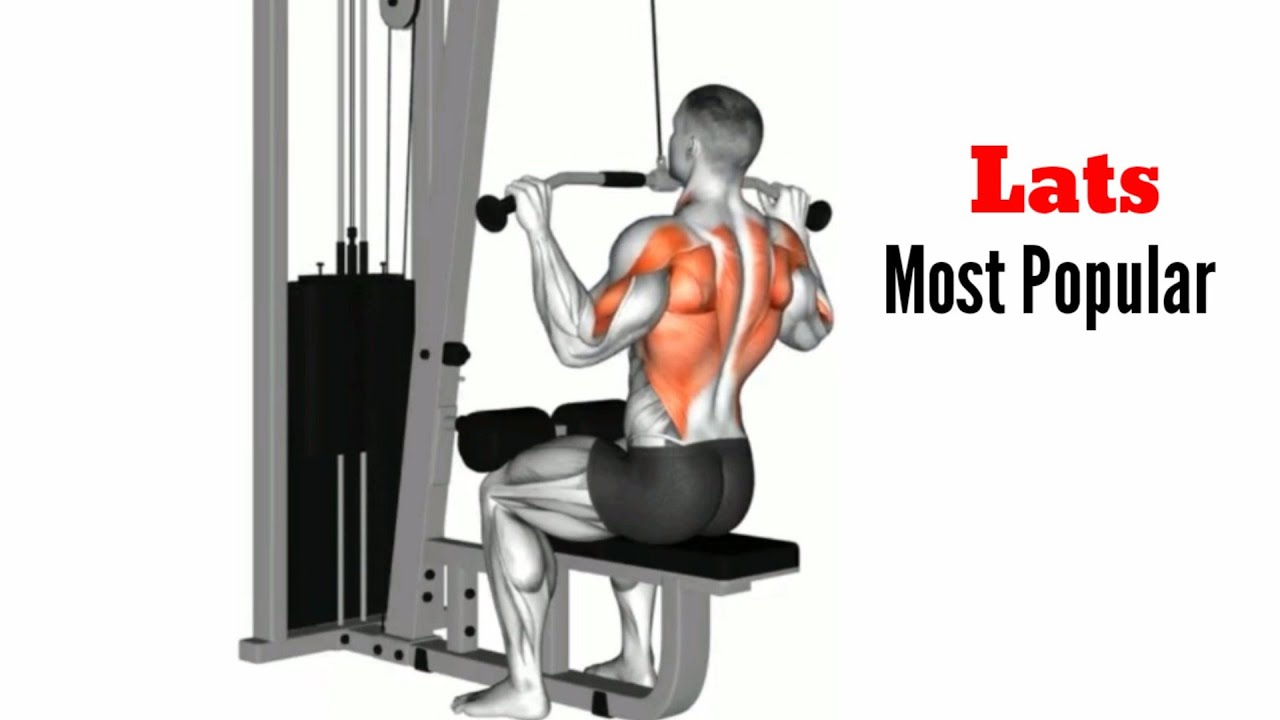 Most Popular Lats Workout ' what exercise works the lats the most 🔥