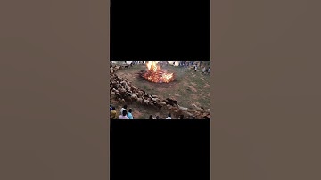 Sheep Circling the Fire | A Mysterious Scene 🔥🐑