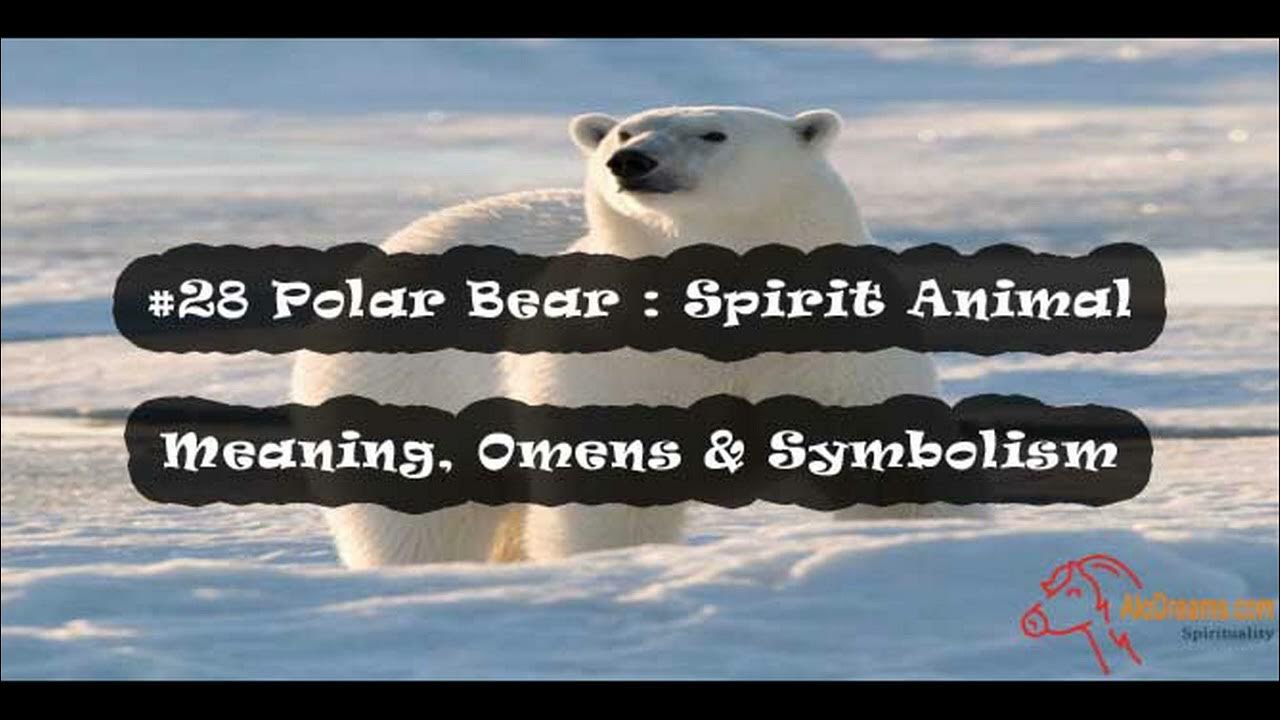 Polar Bear spirit animal : Symbolism and meaning