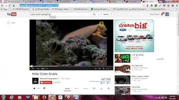 Creating and embedding a video on Google Sites with Shawn Maison