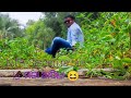 # NTR Park😌 🐨#hyderabad kata mojal asila🤣 bro/sister soho