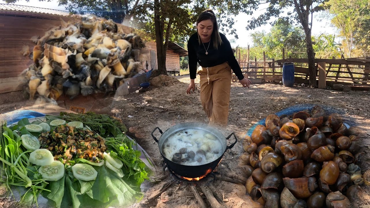 15 มกราคม ค.ศ. 2026 ไป การห้อย ยามกลางคืน