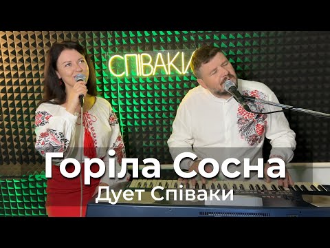Дует СПІВАКИ Горіла Сосна Палала Студійне відео Українська народна пісня