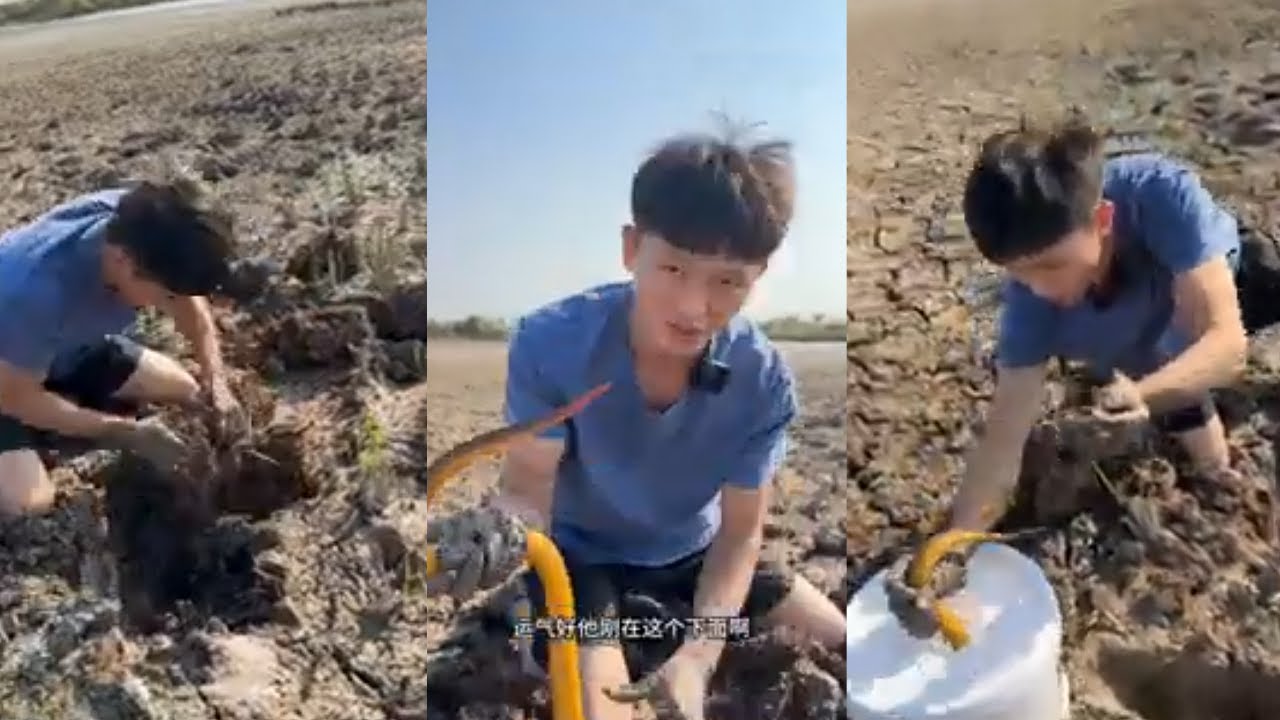 大鱔魚的誘惑力，誰看了不心癢癢？話不多説趕快行動#viralvideo #熱門