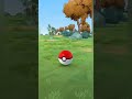Attack scraggy #viralvideo #pokemongo