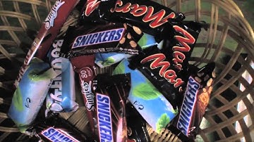 Disco Ensemble Video Diary 23/2010 - EUROTOUR Part 3