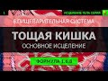 1.6.8 🎧 Здоровье Тощей Кишки, Тонкая Кишка ГЛУБОКОЕ ИСЦЕЛЕНИЕ (резонансный саблиминал)