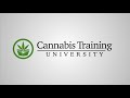 How to Start Growing Cannabis Clones-HOW TO CLONE CANNABIS STEP BY STEP-Cannabis Training University