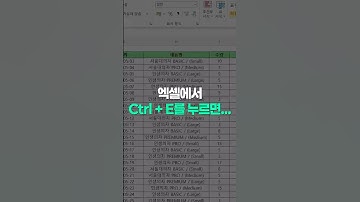 엑셀에서 Ctrl + E를 누르면 벌어지는 일