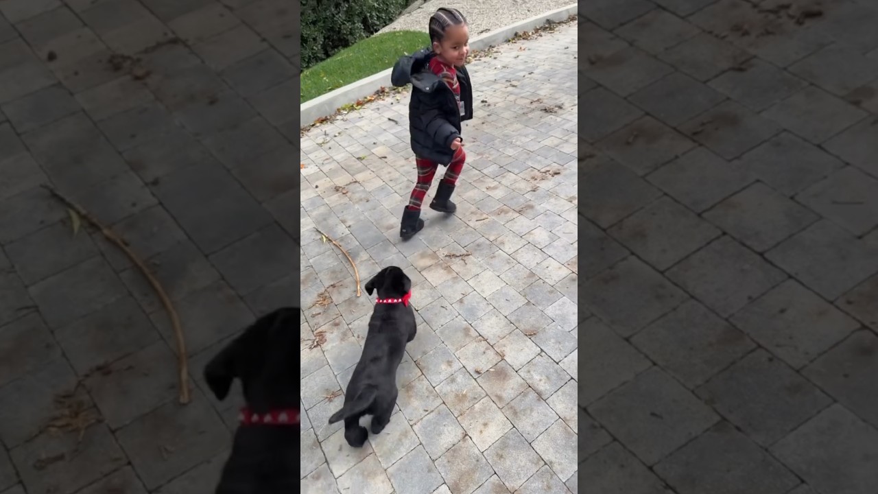 Khloe Kardashian's Kids Run From a Puppy - True & Tatum Thompson Funny Moment #shorts #shortsfeed