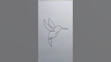 Practice how to draw a hummingbird with one line.#howtodraw #lineart #onelinedrawing