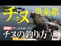 【かかり釣りノウハウ】こうやればチヌが釣れるってわかりました🥴今更ながらチヌ釣りの基本を思い出した。静岡県沼津市丸高水産 駿河湾 帰りは寿司和食ひろちゃん 沼津市岡宮の海鮮和食料理店へ