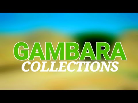 GAMBARA 08