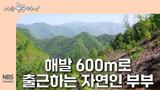 [나는농부다 301회] 해발 600m로 출근하는 자연인 부부