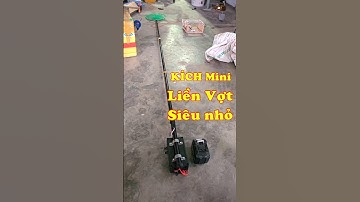 Máy kích cá mini siêu nhỏ liền cần vợt  LH 0332615628 #kichca #kichcadientu12f #pin