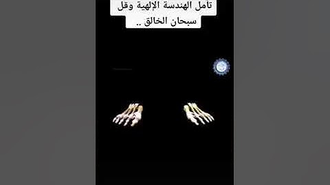 تلاوة خاشعة و مؤثرة تجعل عينك تفيض من الدمع - تأمل عظمة الخالق وقل سبحان الله