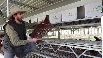 Save time with Rollaway Nest Boxes