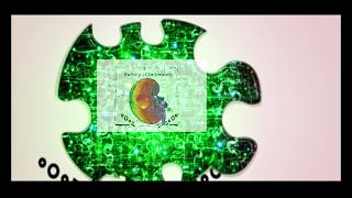 Behind the Prep  Puzzle Creation Continues   May 2, 2026