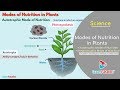 Nutrition in plants class 7 science  modes of nutrition in plants  autotrophic and heterotrophic