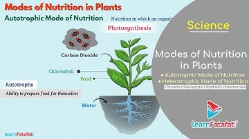 Nutrition in Plants Class 7 Science | Modes of Nutrition in Plants - Autotrophic and Heterotrophic