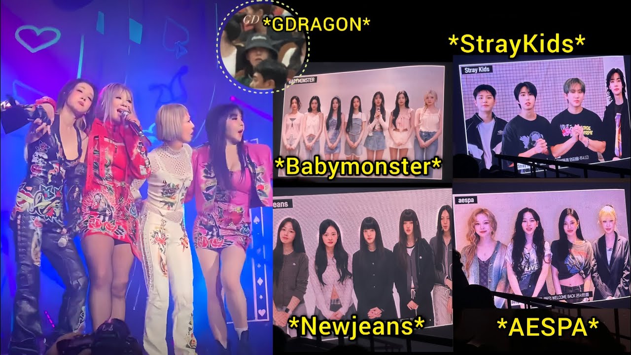K-pop Groups Sent Vid messages & Attended 2NE1 Concert