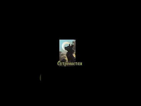 Как я слышу