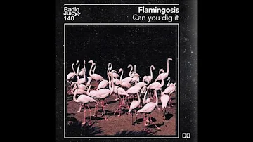 Flamingosis - Can You Dig It (Radio Juicy Mix)