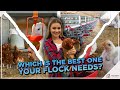 Which chicken waterer should you get for your flock