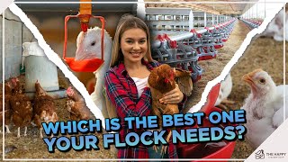 Which Chicken Waterer Should You Get for Your Flock?