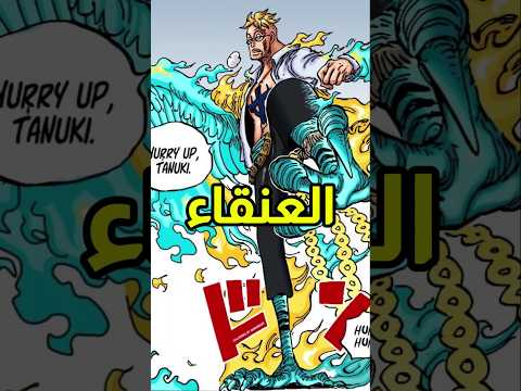 ماركو العنقاء أقوى نائب في عالم ون بيس 