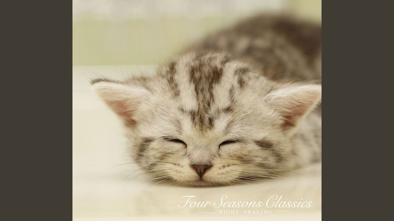 Agnus Dei bekijken op YouTube