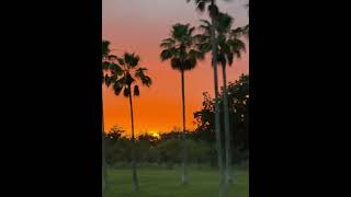 Calm music for relaxation #lofi #relax #sleep #meditation #work #calm # happy #tranquil #peace