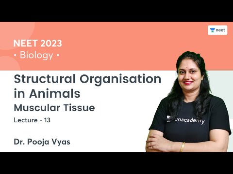 Structural Organisation in