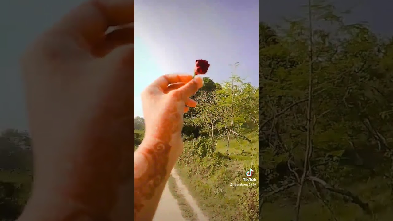 সীতাকুণ্ড চন্দ্রনাথ পাহাড় 🌿