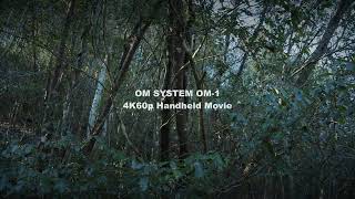 OM SYSTEM OM-1 4K60p Handhend Movie