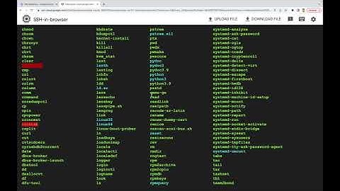 What are the Internal and External Commands in Linux?