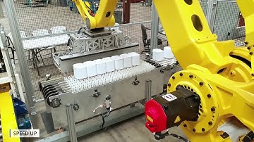 Loose Lift Packaging Palletizing