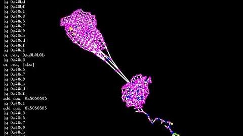 Morphological Extraction : Exploit.Win32.ATH0.120